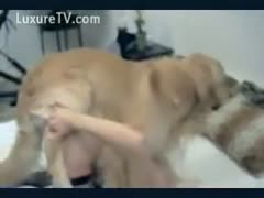 Sinful blond in dark nylons having sex with an beast 